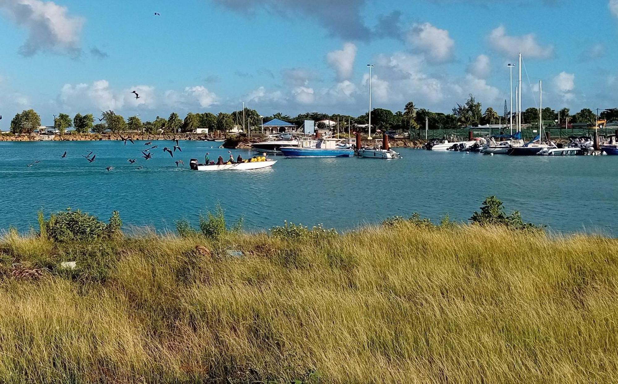 Gite La Cannaie Port-Louis Zewnętrze zdjęcie